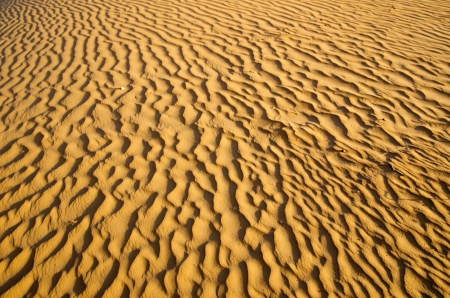Sand texture in Gold desertの写真素材