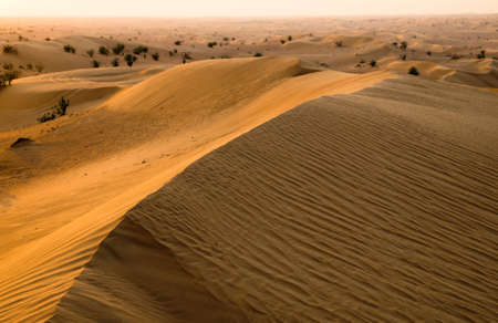 Desert landscape with sanset skyの写真素材