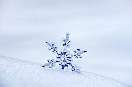 Snowflake in a white snow