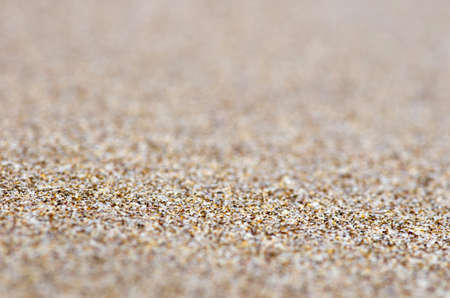 Close up shot of coral sandの写真素材