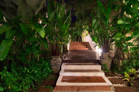 Garden stone path with grassの写真素材