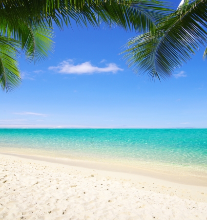 beautiful beach and tropical seaの写真素材