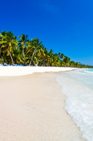 beautiful beach and tropical seaの写真素材
