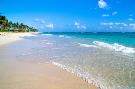 tropical sea under the blue skyの写真素材