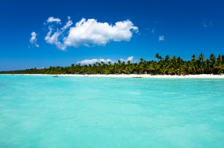 beautiful beach and tropical seaの写真素材