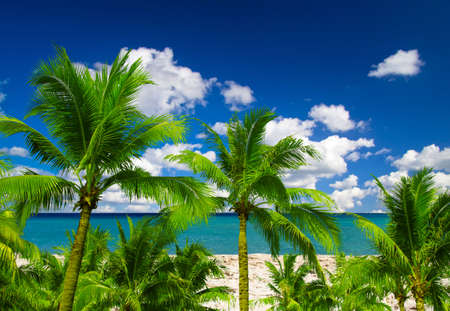 beautiful beach and tropical seaの写真素材