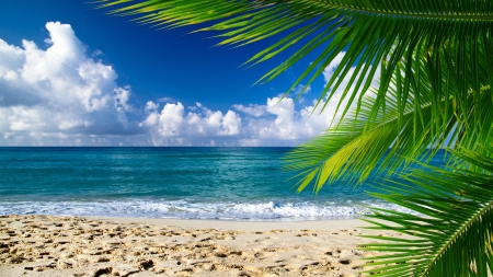 beautiful beach and tropical seaの写真素材