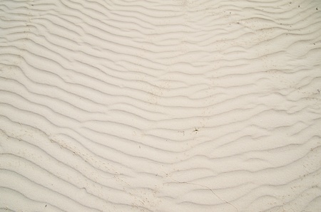 Close up shot of coral sandの写真素材