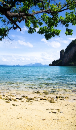 beautiful beach and tropical seaの写真素材