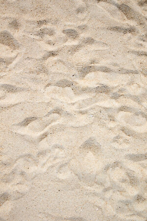 Close up shot of coral sandの写真素材