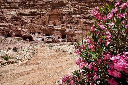 Beautiful red rock formations in Petra Jordan.の写真素材