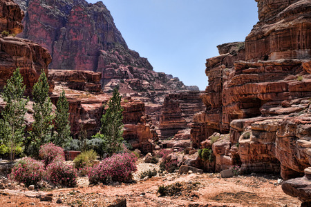 Beautiful red rock formations in Petra Jordan.の写真素材