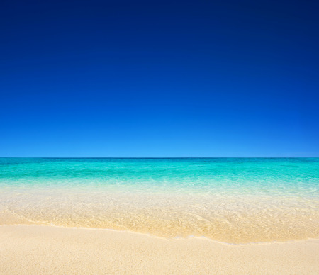beautiful beach and tropical sea

の写真素材