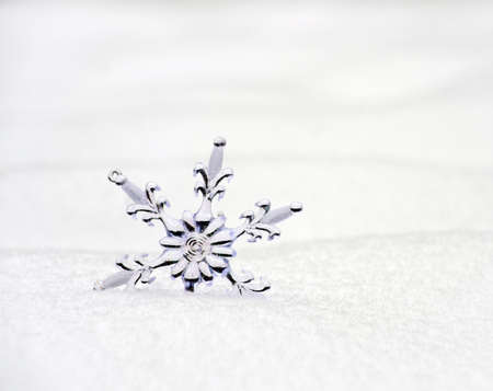 Snowflake in a white snowの写真素材