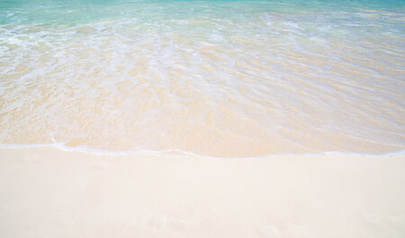beach and tropical seaの写真素材