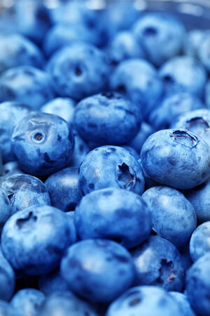 Freshly picked blueberriesの写真素材