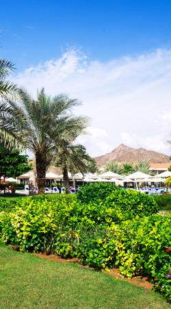 Garden stone path with grassの写真素材