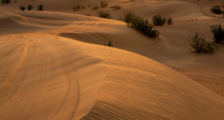Desert landscape with sanset skyの写真素材