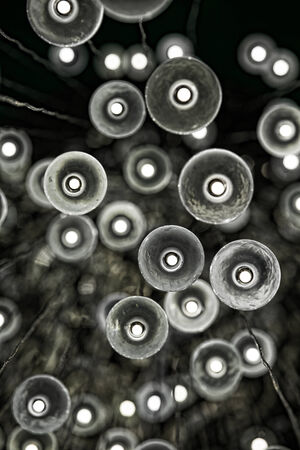 light bulb