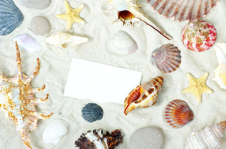 starfish and shells on the beachの写真素材