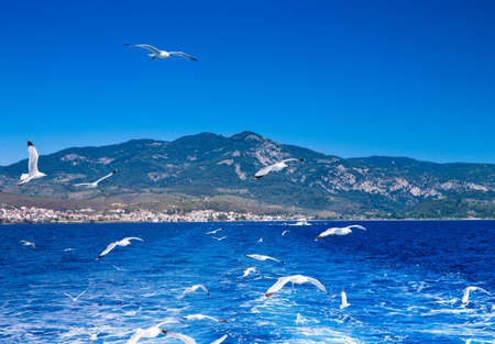 beach and tropical seaの写真素材