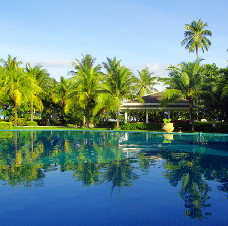 tropical swimming pool with coconut tree and white umbrellaのeditorial素材