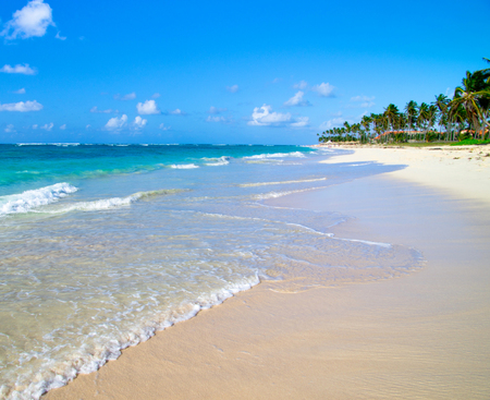tropical sea under the blue sky