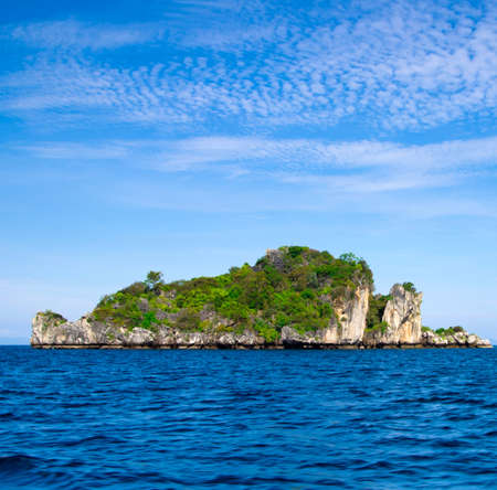 beautiful beach and tropical sea