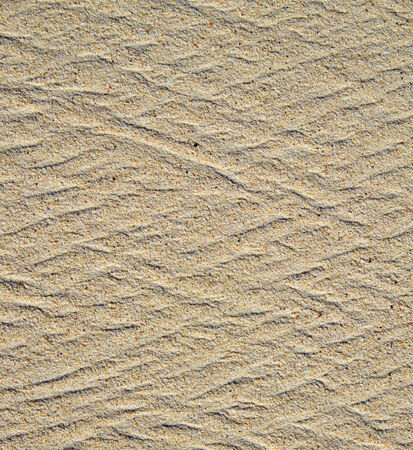 Close up shot of coral sandの写真素材