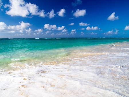 tropical sea under the blue skyの写真素材