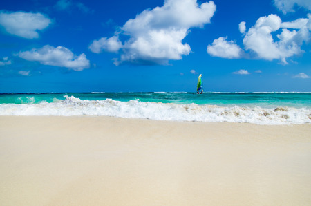 beach and tropical seaの写真素材