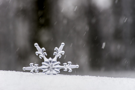 Snowflake in a white snowの写真素材