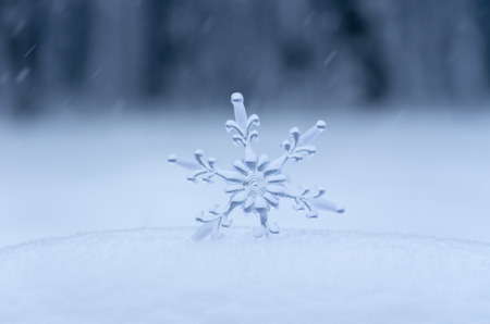 Snowflake in a white snowの写真素材