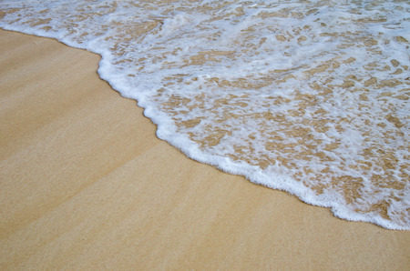 beautiful beach and tropical sea