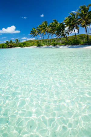 beautiful beach and tropical seaの写真素材