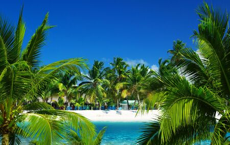 beautiful beach and tropical seaの写真素材