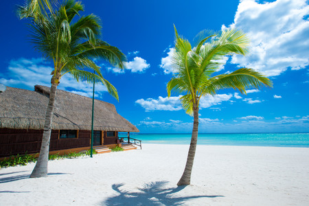tropical sea under the blue sky