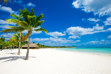 tropical sea under the blue skyのeditorial素材