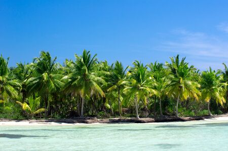 Beach and tropical seaの写真素材