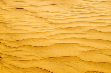 sand texture in Gold desertの写真素材
