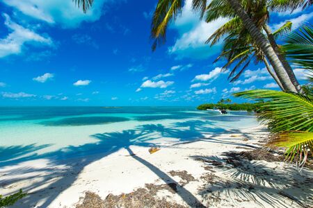beautiful tropical sea