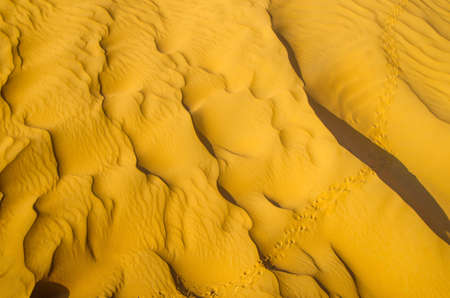 sand texture in Gold desertの写真素材