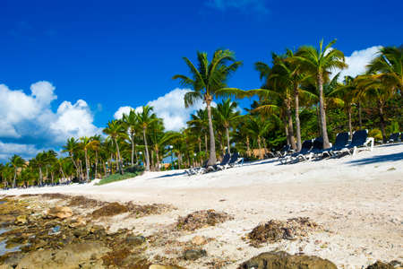 beautiful beach and tropical seaの写真素材