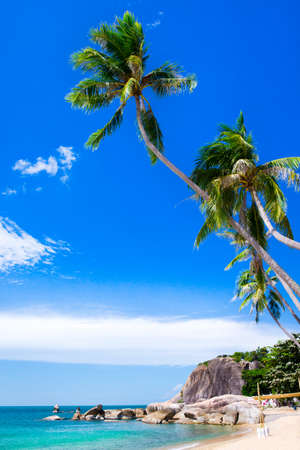 beach and tropical sea