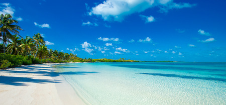 beautiful beach and tropical sea