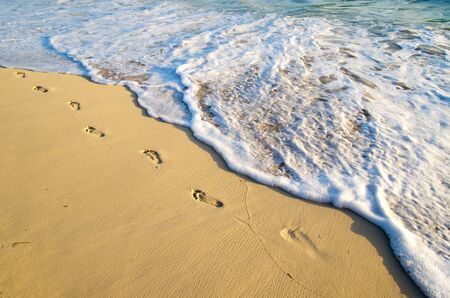beach and beautiful tropical sea