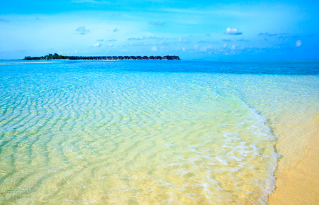 tropical beach in Maldives with few palm trees and blue lagoonの写真素材