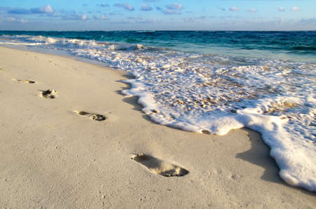 beautiful beach and tropical seaの写真素材