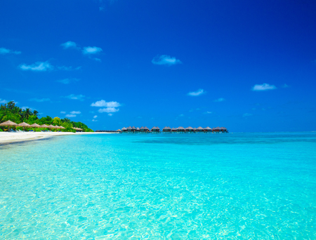 beach in Maldives with few palm trees and blue lagoonのeditorial素材