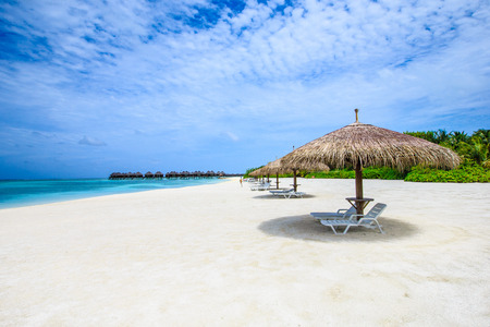 beach in Maldives with few palm trees and blue lagoonのeditorial素材
